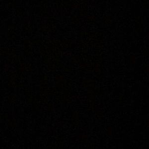 Meet your Posher, Phoebe